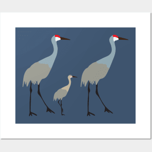 Sandhill cranes with baby Posters and Art